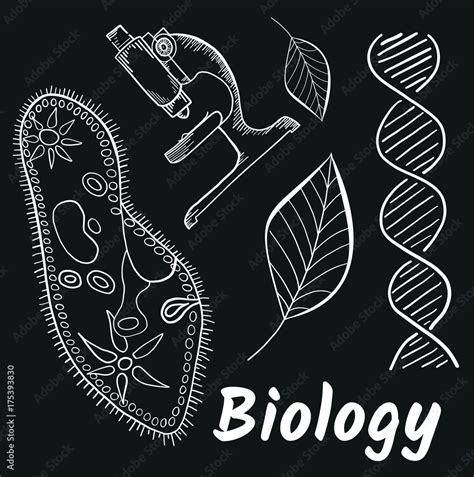 Vecteur Stock School Subjects Biology Hand Drawn Vector Illustration With Doodle Icons