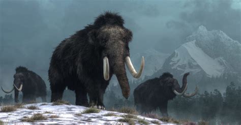 Epoca Cenozoica - Era Cenozoica: características, divisão, clima e geologia