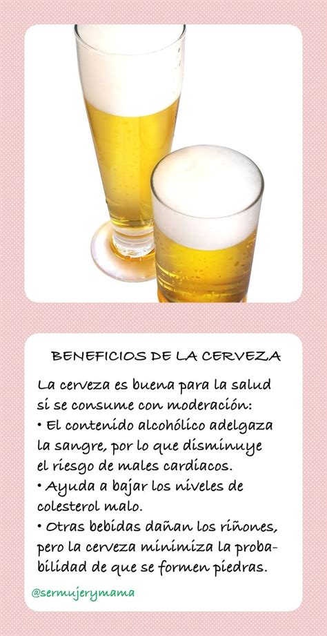 Beneficios De La Cerveza Consejos Para La Salud Salud Y Bienestar