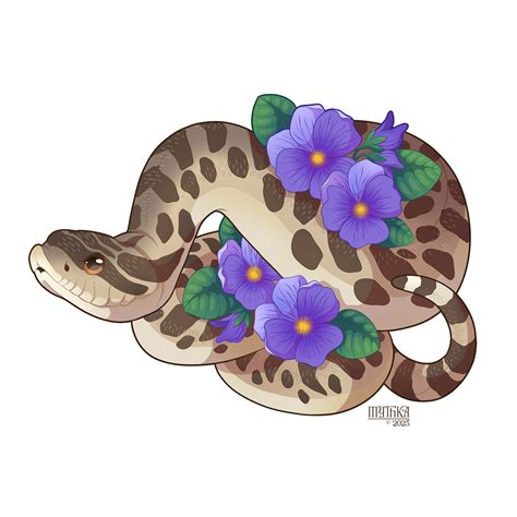 Western Hognose Snake by Mythka on DeviantArt
