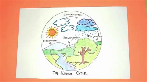 The Water Cycle Drawing For Kids