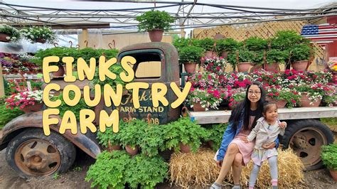 Exploring The Charming Fink S Country Farm In Wading River New York A