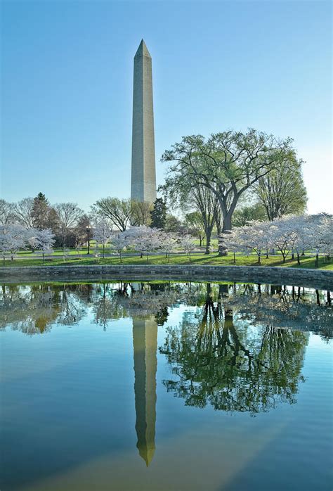 Washington Monument And Cherry Blossoms By Drnadig