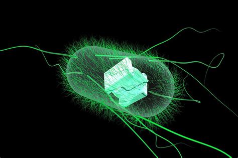 Engineered Bacteria Photograph By Ella Maru Studio Science Photo