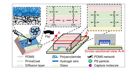 Conformal Hydrogel Skin Coating On A Microfluidic Channel Through