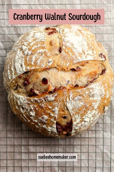 Cranberry Walnut Sourdough Bread Recipe Story Artofit