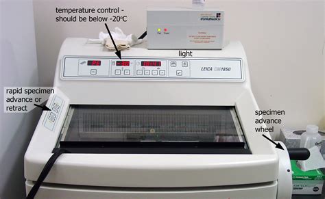 Cryostat Sectioning Of Frozen Tissues Prometheus