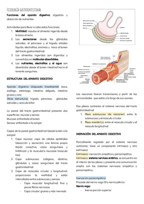 Fisiolog A Gastrointestinal Resumen Fisiolog A Gastrointestinal