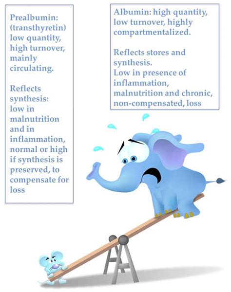 The albumin-prealbumin issue. | Download Scientific Diagram