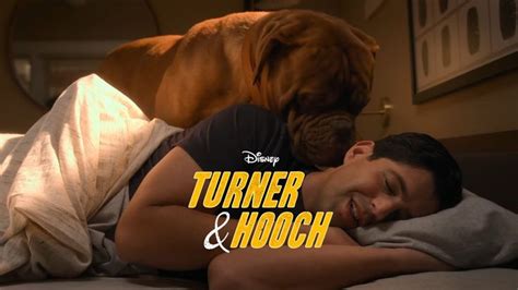 Pin By Disney Lovers On Disney Plus Disney Disney Plus Turner And Hooch Fictional Characters