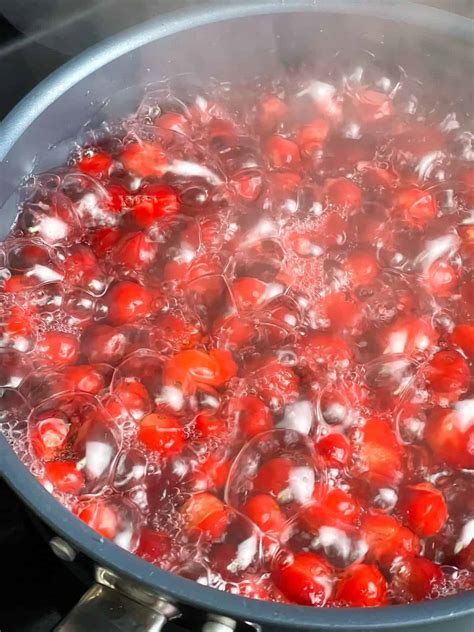 Tastegreatfoodie Homemade Cranberry Juice Recipe Beverages