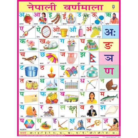 NEPALESE ALPHABET CHART SIZE 45 X 57 CMS