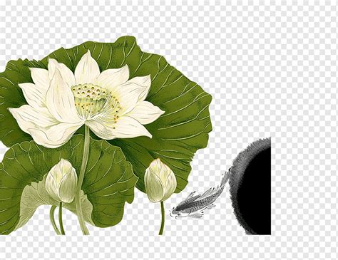 Nelumbo Nucifera Chinoiserie Tinta Lavado Cartel De Pintura Pintado De