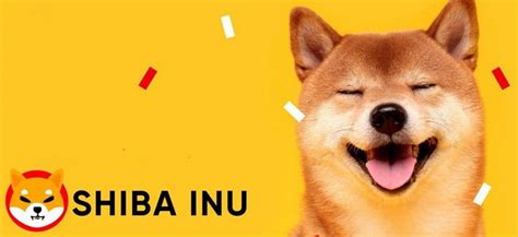 Shiba Inu Shib Là Gì Giải Mã Lý Do Shib Tăng Giá Mạnh