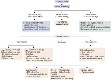 Diagnosis And Management Of Hyponatremia Recapem 50 Off