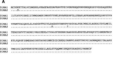 Comparison Of Actin Amino Acid Sequences A Comparison Of The Deduced