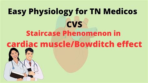 Staircase Phenomenon In Cardiac Muscle Bowditch Effect Youtube