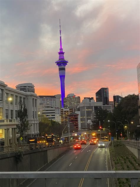 The cityscape during todays gorgeous sunset 😍 : r/auckland