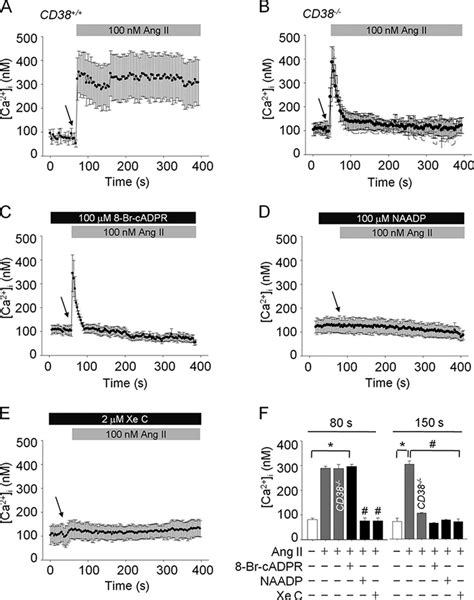 Ang Ii Evoked Ca I Rise Is Mediated By Ip Naadp Cadpr A