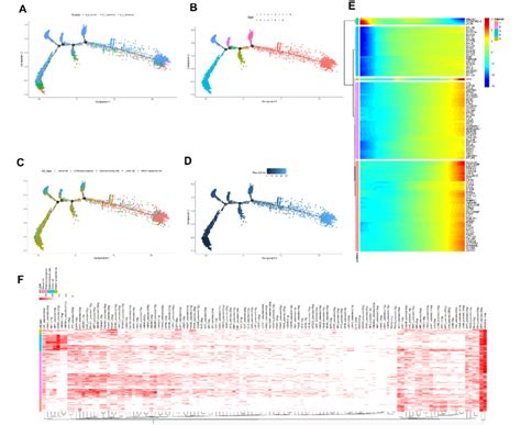 Cell Fate Differentiation Based On Enterocyte Cells A Trajectories Of