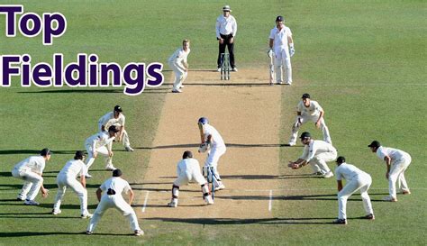 Hd Quality Wallpaper Funny Cricket Fielding Positions 2048x1180