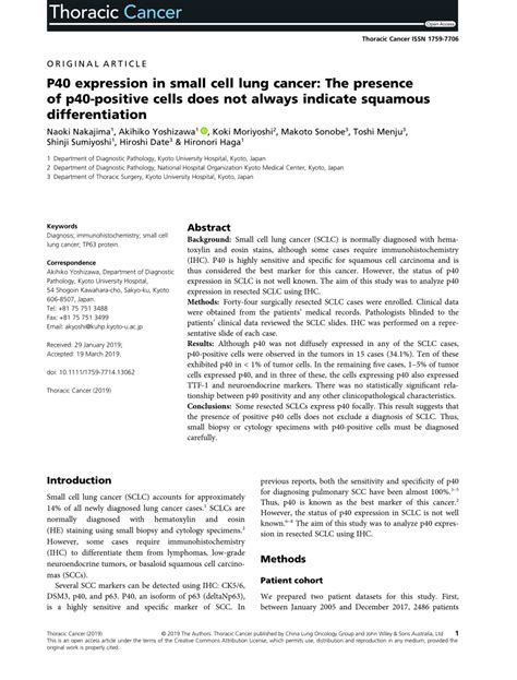 Pdf P40 Expression In Small Cell Lung Cancer The Presence Of P40