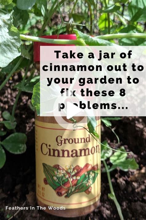 8 Reasons Why Plants Love Cinnamon These Really Work In 2020