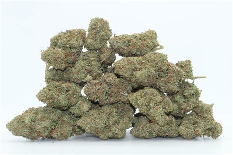 GMO Cookies - Dr.Ganja