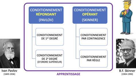 Psycho Chap La Perspective Behavioriste Flashcards Quizlet