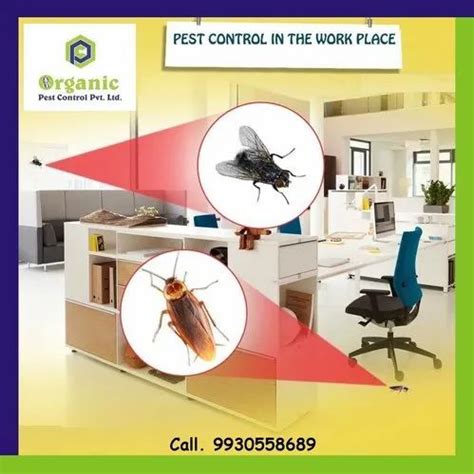 House Flies Control Services At Rs 500sq Ft हाउस फ्लाई कंट्रोल