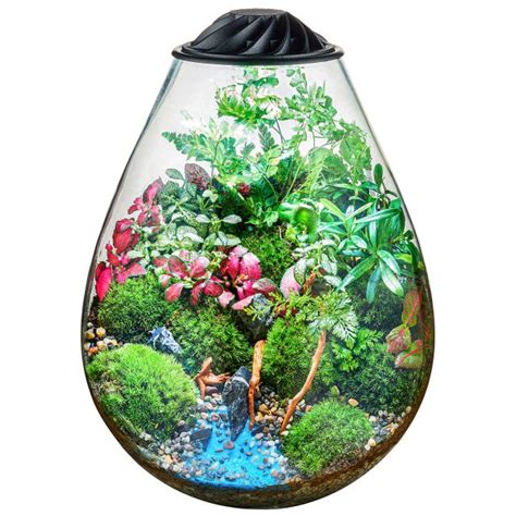 Chihiros Eco Ping Aquasabi Aquaristik Shop