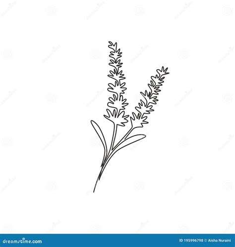 Dibujo Nico De L Nea Continua De Belleza Lavandula Fresca Para