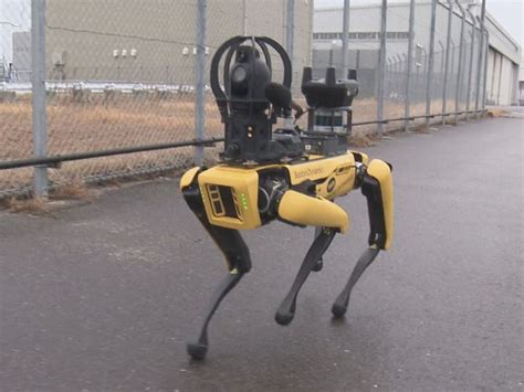 不審者を認識し警告中部空港に警備用の『ai搭載ロボット犬』導入に向け実証実験 労働環境の改善に期待 ライブドアニュース