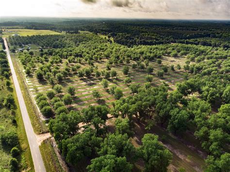 Pecan Plantation - Granbury, Texas