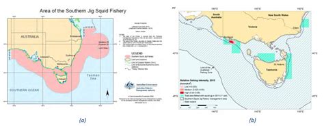 Commonwealth Southern Squid Jig Fishery | WhichFish