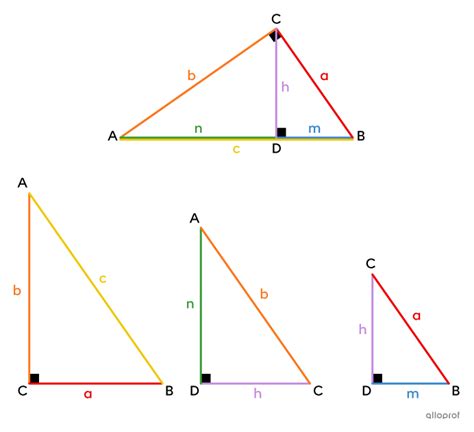 Les Relations Métriques Dans Le Triangle Rectangle Secondaire Alloprof