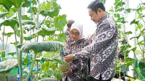 Dukung Program Lumbung Pangan Nasional Lamongan Intensifkan Program