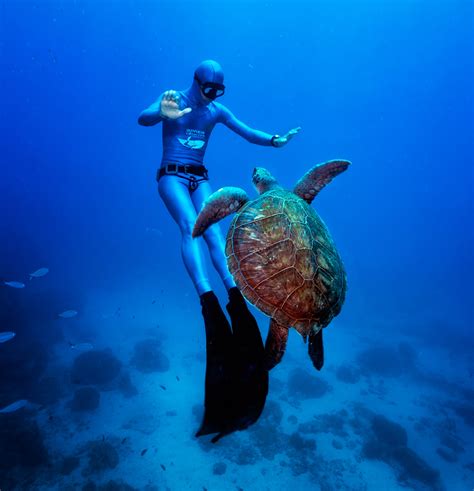 How to Scuba Dive and Fish in the British Virgin Islands