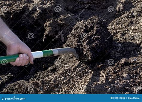 A Shovel Digging Into Pile Stock Image 26157655