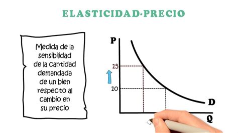 Tipos De Elasticidad Que Es Definicion Y Concepto 2021 Economipedia