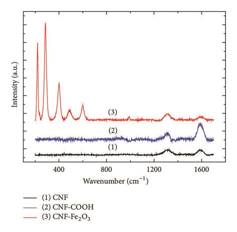 Raman spectra of CNF curve 1 CNF COOH curve 2 and CNF γ Fe2O3