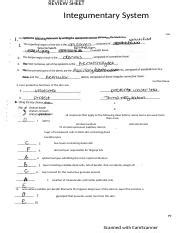 Courseherodoc1 Docx REVIEW SHEET Integumentary System I Con