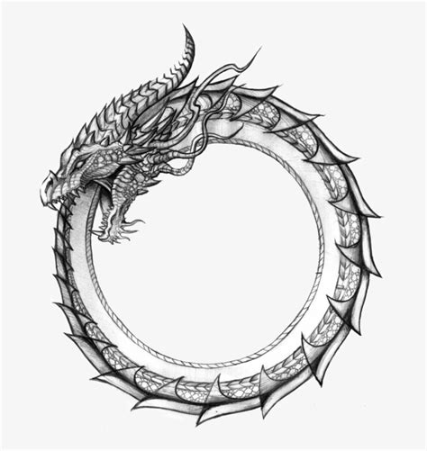 Ouroboros Transparent Serpiente Jormungandr Tattoo X Png