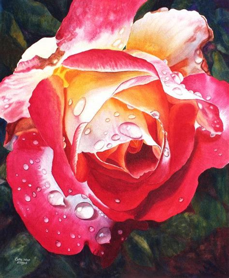 Red Yellow Rose Art Watercolor Painting Print By Cathy Hillegas