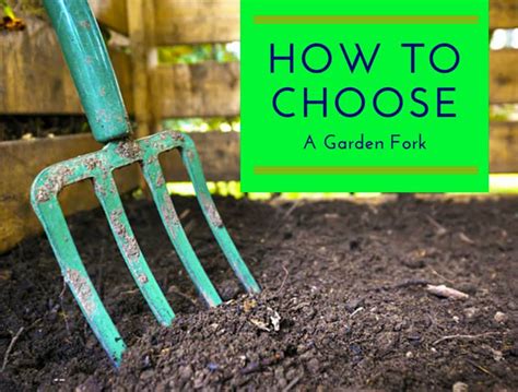 choose  garden fork   gardening  properly rooted