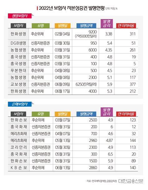 대한금융db 2022년 보험사 자본성증권 발행 현황