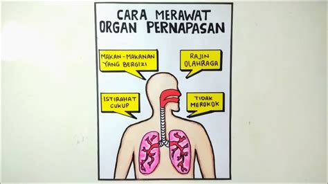 30 Contoh Poster Kesehatan Simple Dan Menarik Mudah Ditiru Anak TK