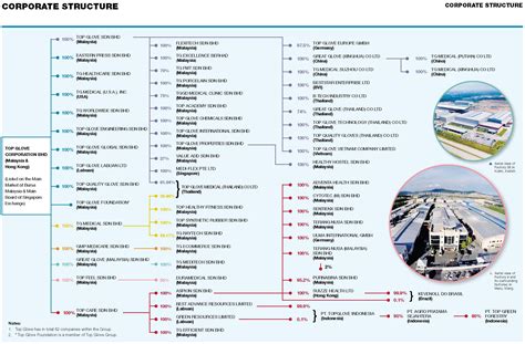 Corporate Structure The World S Largest Manufacturer Of Glove