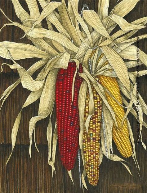 Indian Corn By Ramona Maziarz Pintar En Oleo Mazorcas Y Oleos