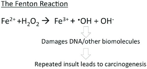 Fenton Reaction Equation